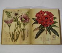 Картина Книга, кожзам, дизайн Цветы, W105-4 - вид 1 миниатюра