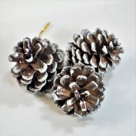 Шишки декоративные, набор из 6 шт, Р38-9/М44-4/5/6 - вид 1 миниатюра