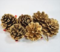 Шишки декоративные, набор из 6 шт, Р38-9/М44-4/5/6 - вид 2 миниатюра