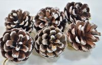 Шишки декоративные, набор из 6 шт, Р38-9/М44-4/5/6 - вид 3 миниатюра