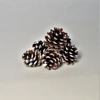 Шишки декоративные, набор из 6 шт, Р38-9/М44-4/5/6 - вид 1 миниатюра