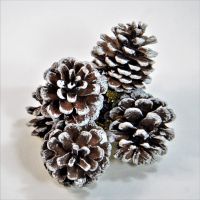 Шишки декоративные, набор из 6 шт, Р38-9/М44-4/5/6 - вид 4 миниатюра