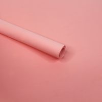 Фоамиран в листах 60 х 70 см, толщина 1 мм, 10 шт, розово-коралловый (Y01), FA7-49 Фоамиран в листах 60 х 70 см, толщина 1 мм, 10 шт, розово-коралловый (Y01), FA7-49