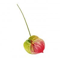 Антуриум искусственный h60 см, FA23-33 - вид 2 миниатюра