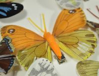 Бабочки на прищепке микс 3-5 см, 10 шт - вид 13 миниатюра