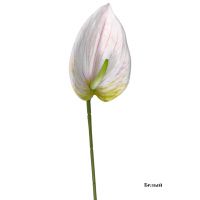 Антуриум искусственный h65 см, FA42-5 - вид 2 миниатюра