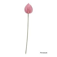 Антуриум искусственный h65 см, FA42-5 - вид 3 миниатюра