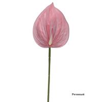 Антуриум искусственный h65 см, FA42-5 - вид 4 миниатюра