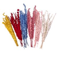 Стабилизированный Эвкалипт Цинерея h60 см, FA38-16/4 - вид 1 миниатюра