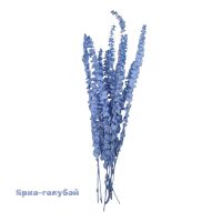 Стабилизированный Эвкалипт Цинерея h60 см, FA38-16/4 - вид 2 миниатюра