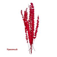 Стабилизированный Эвкалипт Цинерея h60 см, FA38-16/4 - вид 3 миниатюра