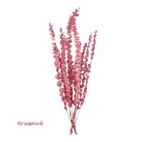 Стабилизированный Эвкалипт Цинерея h60 см, FA38-16/4 - вид 4 миниатюра