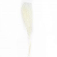 Сухоцвет Тиласпия h70 см, W67-39 - вид 1 миниатюра