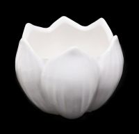 Кашпо керамическое h7 см, белый, Z1-57 - вид 1 миниатюра
