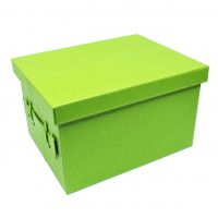 Коробка-органайзер с крышкой, 41,5 х 32,5 х 26 см, экокожа, салатовый, Z8-15 Коробка-органайзер с крышкой, 41,5 х 32,5 х 26 см, экокожа, салатовый, Z8-15