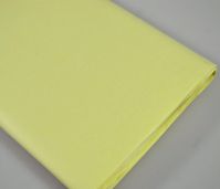 Бумага Тишью в листах 50 х 66 см, 10 шт, ваниль, W119 Бумага Тишью в листах 50 х 66 см, 10 шт, ваниль, W119