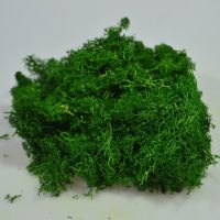 Мох стабилизированный в пакете 100 гр, зеленая сосна - вид 1 миниатюра
