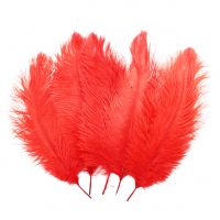 Перо страуса 35 см, 5 шт, красный, W113-1 - вид 1 миниатюра