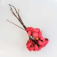 Сухоцвет Хлопок цветной, h29 см, 10 шт, Z14-6 - вид 3 миниатюра