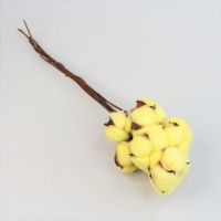Сухоцвет Хлопок цветной, h29 см, 10 шт, Z14-6 - вид 10 миниатюра