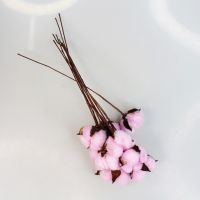 Сухоцвет Хлопок цветной, h29 см, 10 шт, Z14-6 - вид 21 миниатюра