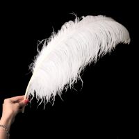 Перо страуса 75 см, белый, FA13-3 Перо страуса 75 см, белый, FA13-3
