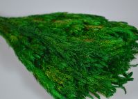 Стабилизированная трава Хвойник,10 шт, W67-9 - вид 2 миниатюра