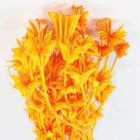 Сухоцвет Нигелла h60-65 см, W67-37 - вид 2 миниатюра