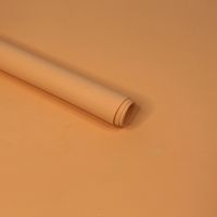 Фоамиран в листах 60 х 70 см, толщина 1 мм, 10 шт, пудровый (005), FA7-49 Фоамиран в листах 60 х 70 см, толщина 1 мм, 10 шт, пудровый (005), FA7-49