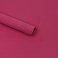 Фоамиран в листах 60 х 70 см, толщина 1 мм, 10 шт, орхидея (Y49), FA7-49 Фоамиран в листах 60 х 70 см, толщина 1 мм, 10 шт, орхидея (Y49), FA7-49