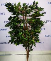 Дерево Фикус Бенджамина зеленый, 160 см, М103-5 - вид 1 миниатюра