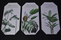 Комплект картин из 3 шт, кожзам, дизайн Ботаника, W105-2 - вид 1 миниатюра