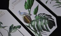 Комплект картин из 3 шт, кожзам, дизайн Ботаника, W105-2 - вид 7 миниатюра