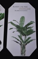 Комплект картин из 3 шт, кожзам, дизайн Ботаника, W105-2 - вид 4 миниатюра