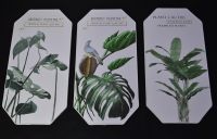 Комплект картин из 3 шт, кожзам, дизайн Ботаника, W105-2 - вид 2 миниатюра